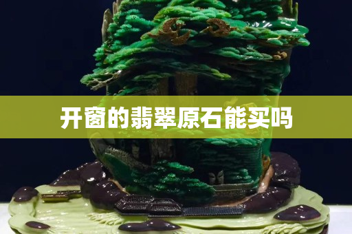开窗的翡翠原石能买吗