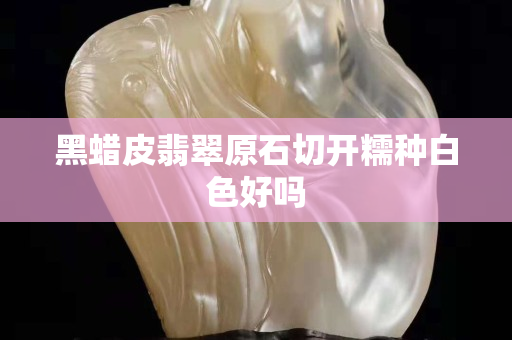 黑蜡皮翡翠原石切开糯种白色好吗