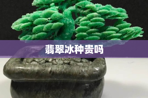 翡翠冰种贵吗