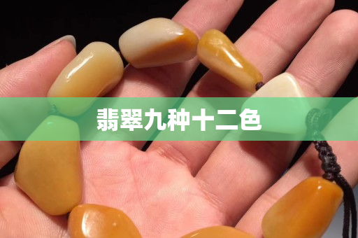 翡翠九种十二色