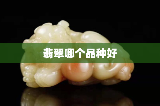 翡翠哪个品种好