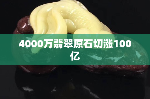 4000万翡翠原石切涨100亿
