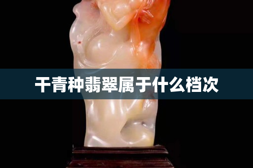 干青种翡翠属于什么档次