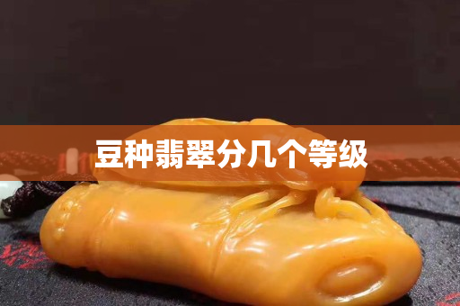 豆种翡翠分几个等级