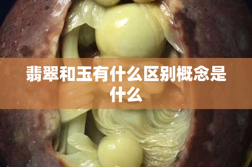 翡翠和玉有什么区别概念是什么