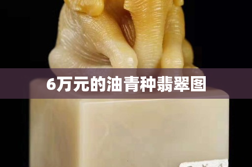 6万元的油青种翡翠图