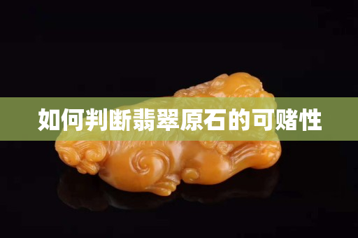 如何判断翡翠原石的可赌性
