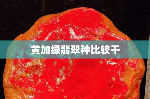 黄加绿翡翠种比较干