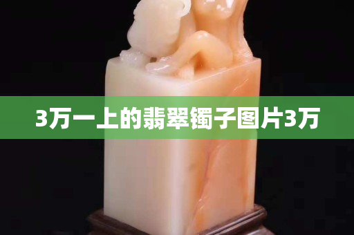 3万一上的翡翠镯子图片3万