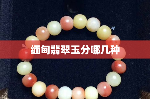 缅甸翡翠玉分哪几种