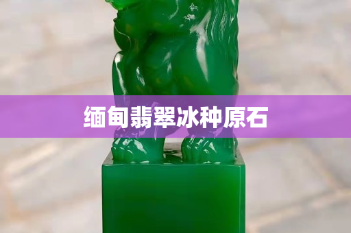 缅甸翡翠冰种原石