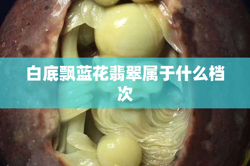 白底飘蓝花翡翠属于什么档次