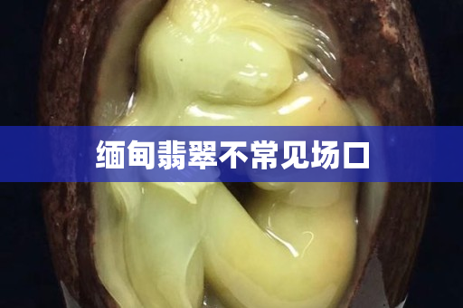 缅甸翡翠不常见场口