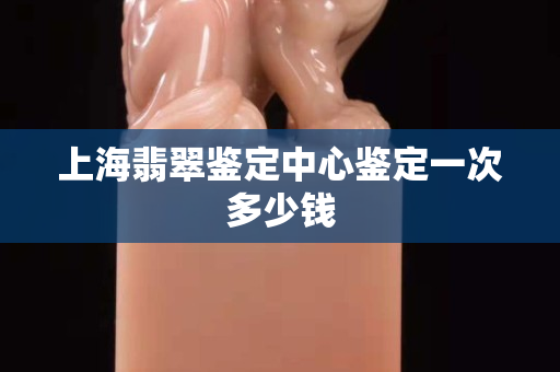 上海翡翠鉴定中心鉴定一次多少钱