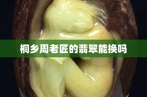 桐乡周老匠的翡翠能换吗