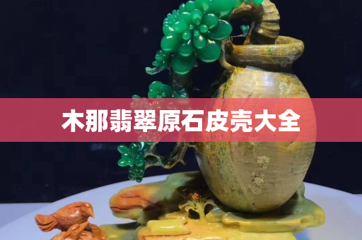 木那翡翠原石皮壳大全