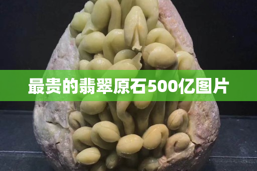 最贵的翡翠原石500亿图片