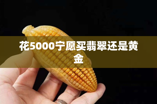花5000宁愿买翡翠还是黄金
