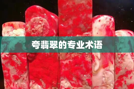 夸翡翠的专业术语