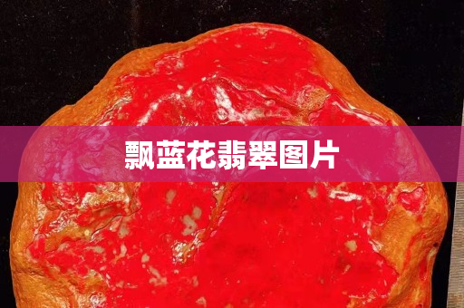 飘蓝花翡翠图片