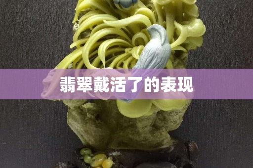 翡翠戴活了的表现