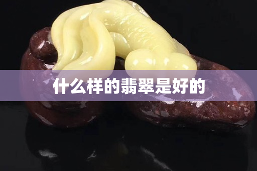 什么样的翡翠是好的