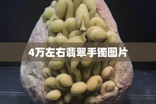 4万左右翡翠手镯图片