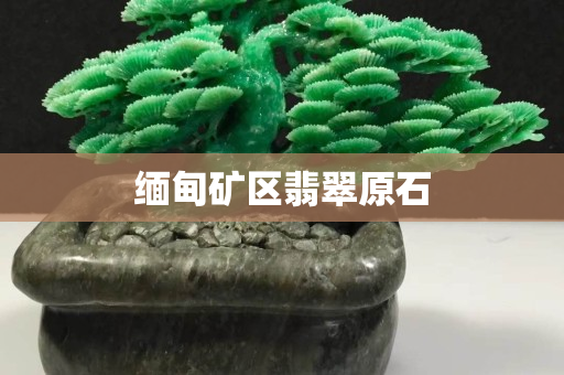 缅甸矿区翡翠原石