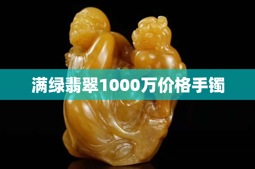 满绿翡翠1000万价格手镯