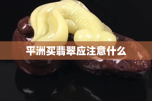 平洲买翡翠应注意什么