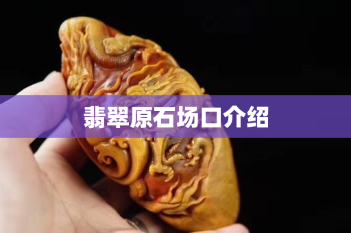 翡翠原石场口介绍