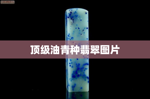 顶级油青种翡翠图片