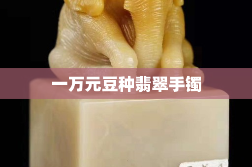 一万元豆种翡翠手镯