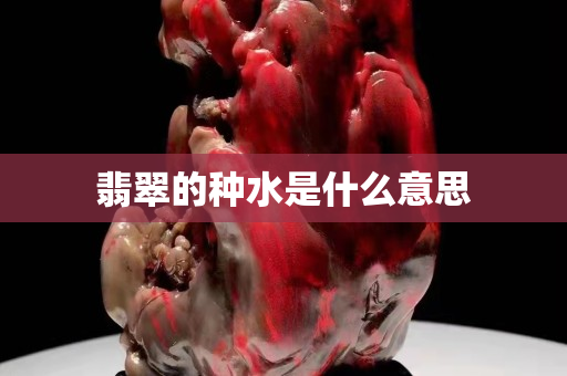 翡翠的种水是什么意思