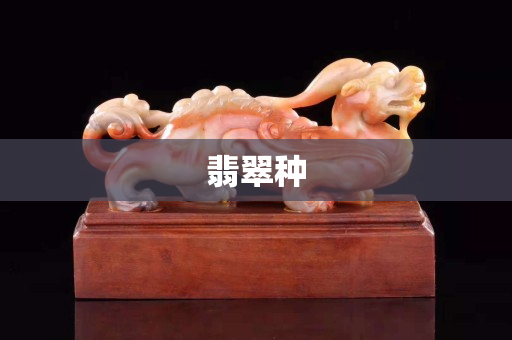 翡翠种