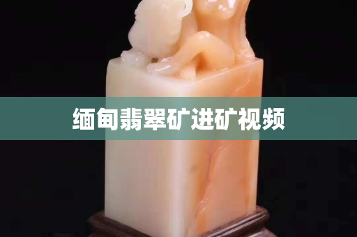 缅甸翡翠矿进矿视频