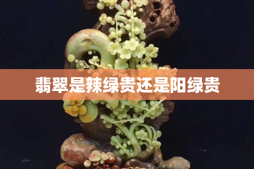 翡翠是辣绿贵还是阳绿贵