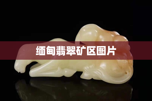 缅甸翡翠矿区图片