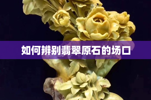如何辨别翡翠原石的场口