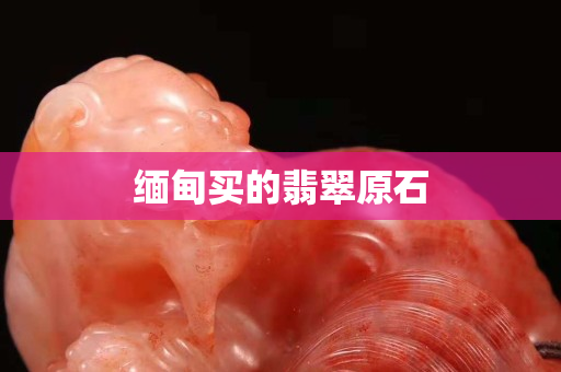 缅甸买的翡翠原石