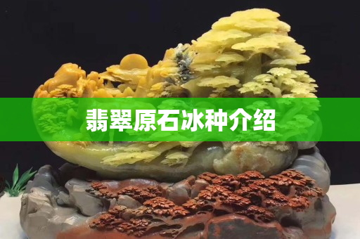 翡翠原石冰种介绍