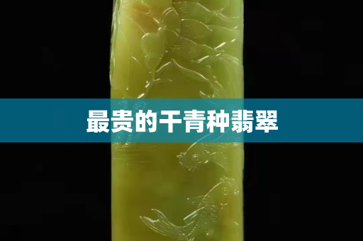 最贵的干青种翡翠