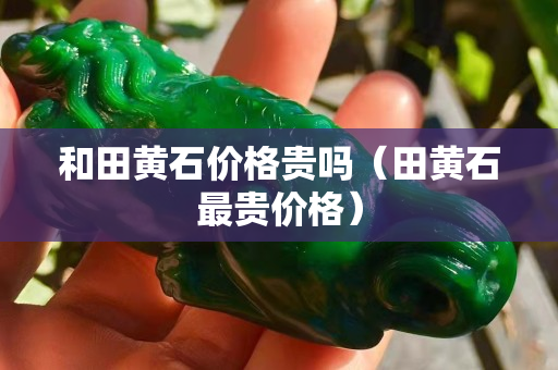 和田黄石价格贵吗（田黄石最贵价格）