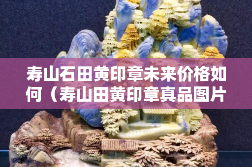 寿山石田黄印章未来价格如何（寿山田黄印章真品图片）