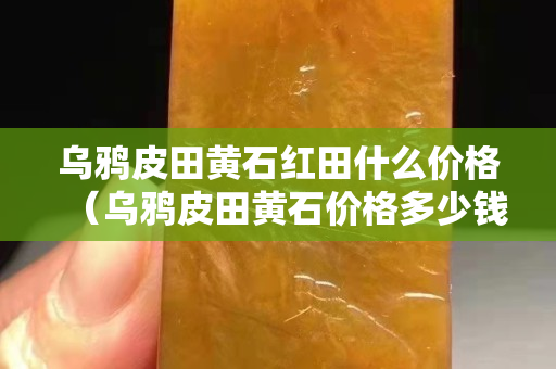 乌鸦皮田黄石红田什么价格（乌鸦皮田黄石价格多少钱一克）
