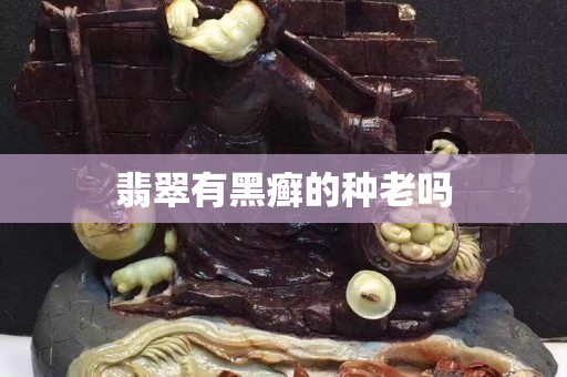 翡翠有黑癣的种老吗