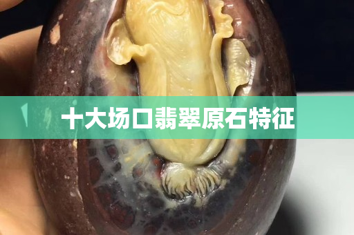 十大场口翡翠原石特征