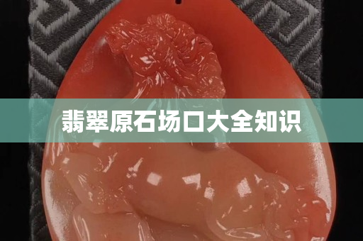 翡翠原石场口大全知识