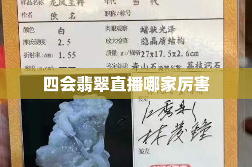 四会翡翠直播哪家厉害
