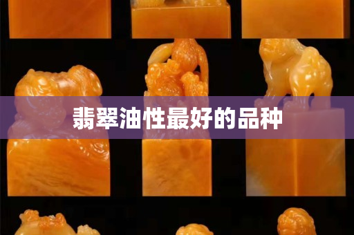 翡翠油性最好的品种